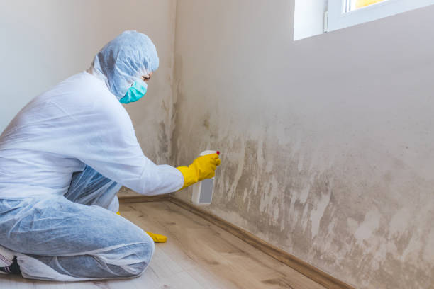 Bathroom Mold Removal assessment in Colonia bathroom